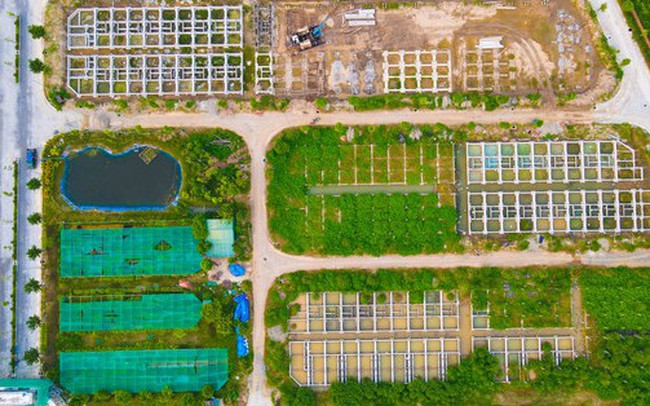 Điều gì khiến giới chuyên gia lạc quan dự báo thị trường bất động sản hồi phục vào năm 2023? Điều gì khiến giới chuyên gia lạc quan dự báo thị trường bất động sản hồi phục vào năm 2023?